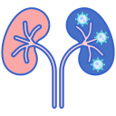 Kidney Disease